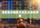 汤某某涉嫌聚众扰乱社会秩序案