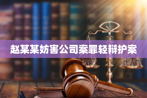 赵某某妨害公司案罪轻辩护案